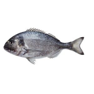 Farmed Sea Bream 1kg Approx. Weight