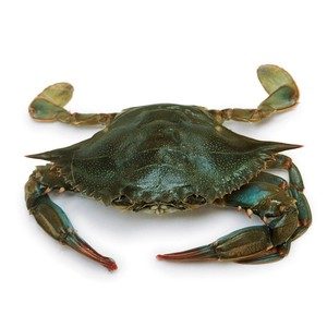 Fresh Crab Local Big 1kg Approx. Weight