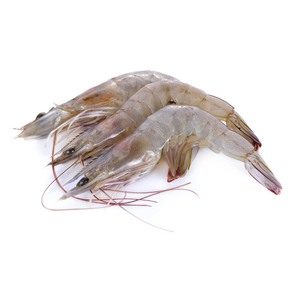Fresh Farmed Prawns 80/100 Uncleaned 500g Approx. Weight