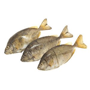 Fresh Safi Fish Medium 1kg Approx. Weight