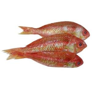 Fresh Sultan Kannan 1kg Approx. Weight