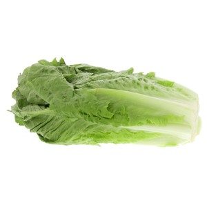 Local Lettuce Romaine Jordan 400g Approx. Weight