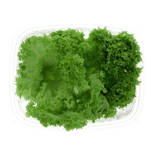 Lollo Bionda Holland 200g Approx. Weight