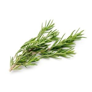 Rosemary Italy 1pkt