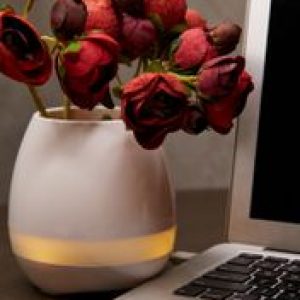 ثمبز اب
Plant Pot Speaker

93 ر.س