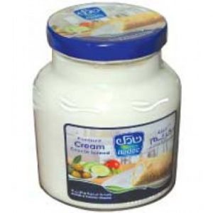 جبن نادك كريم كاسات 910جرام