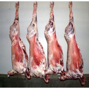 ذبيحة غنم استرالي طازج