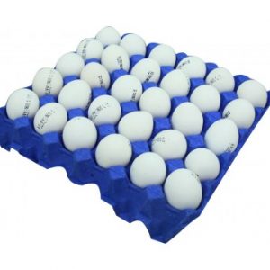 بيض المائدة كبير #1 30حبه