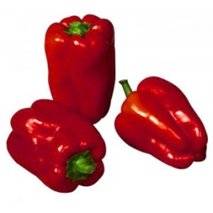 فلفل بارد احمر