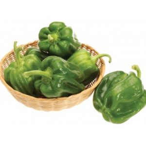 فلفل بارد اخضر