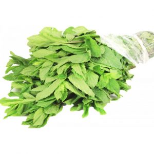 نعناع اخضر حزمة