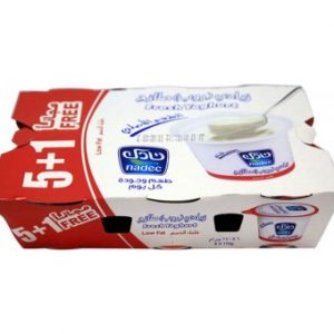 زبادي نادك طازج 5+1 170جرام