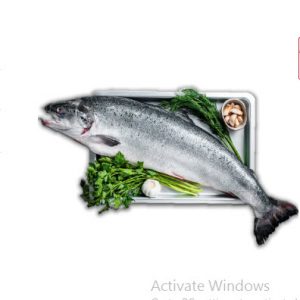 سمك سلمون نرويجي