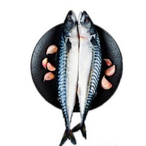 سمك ماكريل الأطلنطي مُجمد