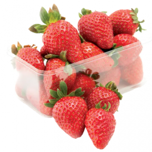 فراولة أمريكي